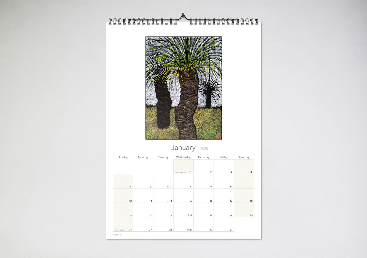 Pod & Pod (Julie Hicks) 2025 Wall Calendar