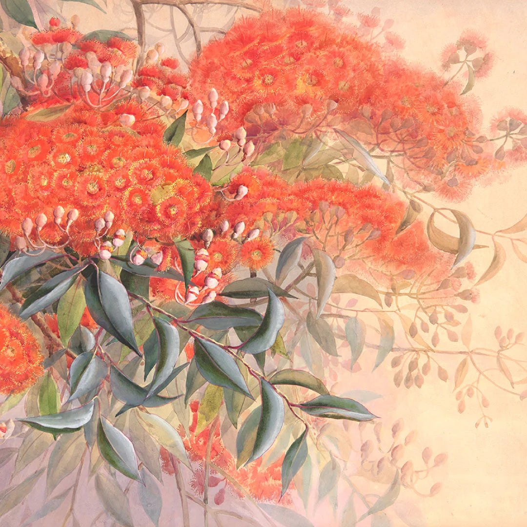 Ellis Rowan Eucalyptus Iconic Tear Drop Earring