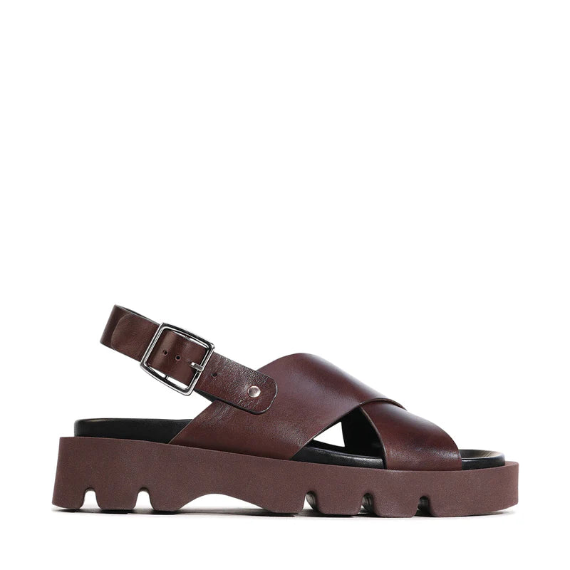 Monnis Women's Sandals - Chestnut