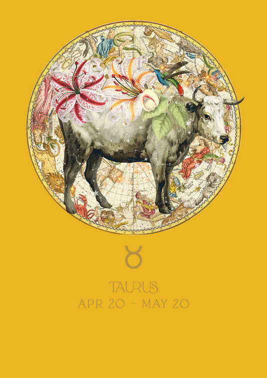 Zodiac HB – Taurus