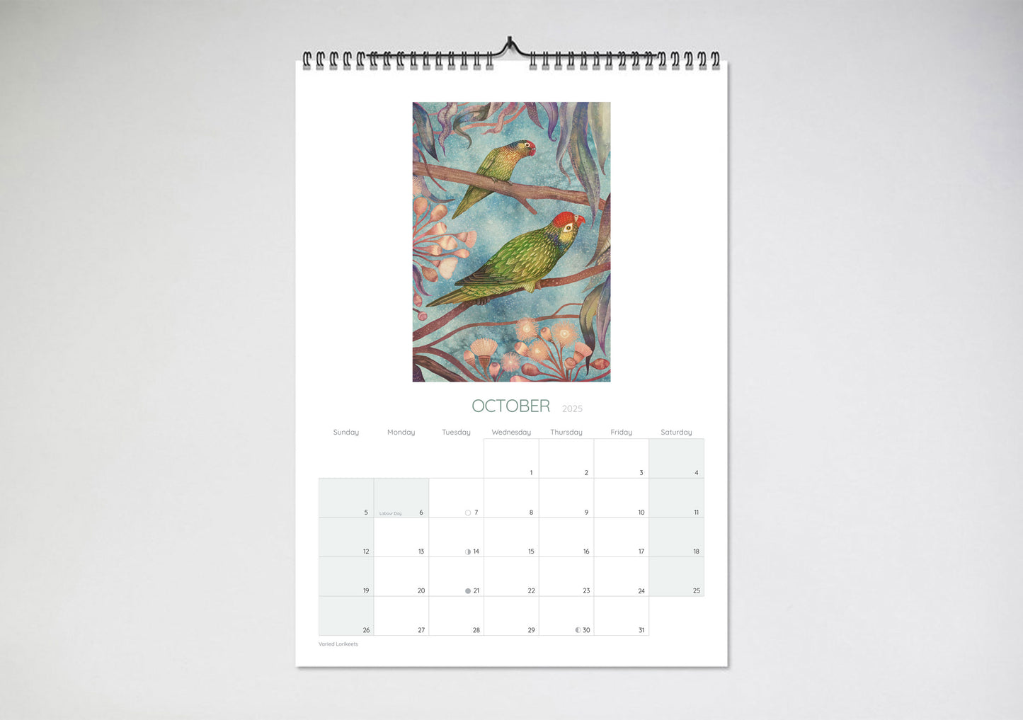 Australian Parrots Vlad Stankovic 2025 Wall Calendar