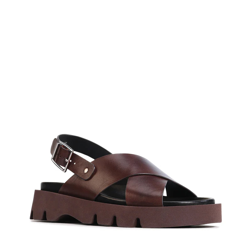 Monnis Women's Sandals - Chestnut