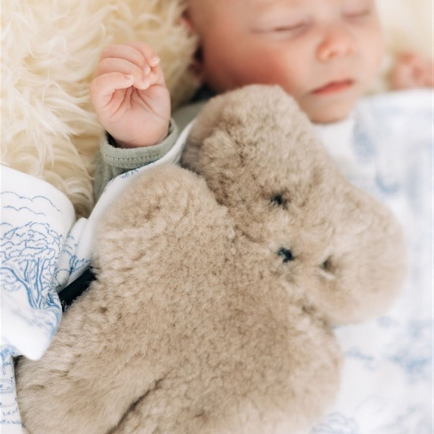 Flatout Bear