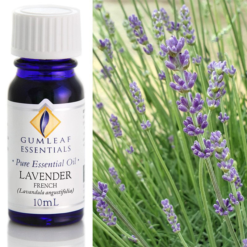 Essential Oil French lavender