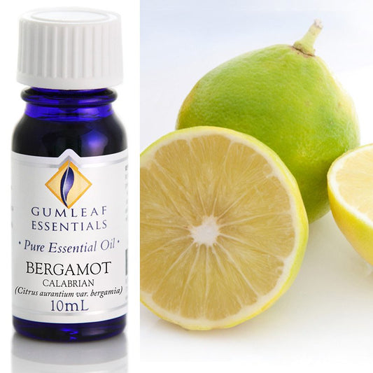 Essential Oil Bergamot