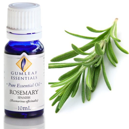 Essential Oil Rosemary Spanish