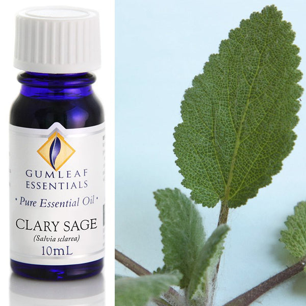 Essential Oil Clary Sage
