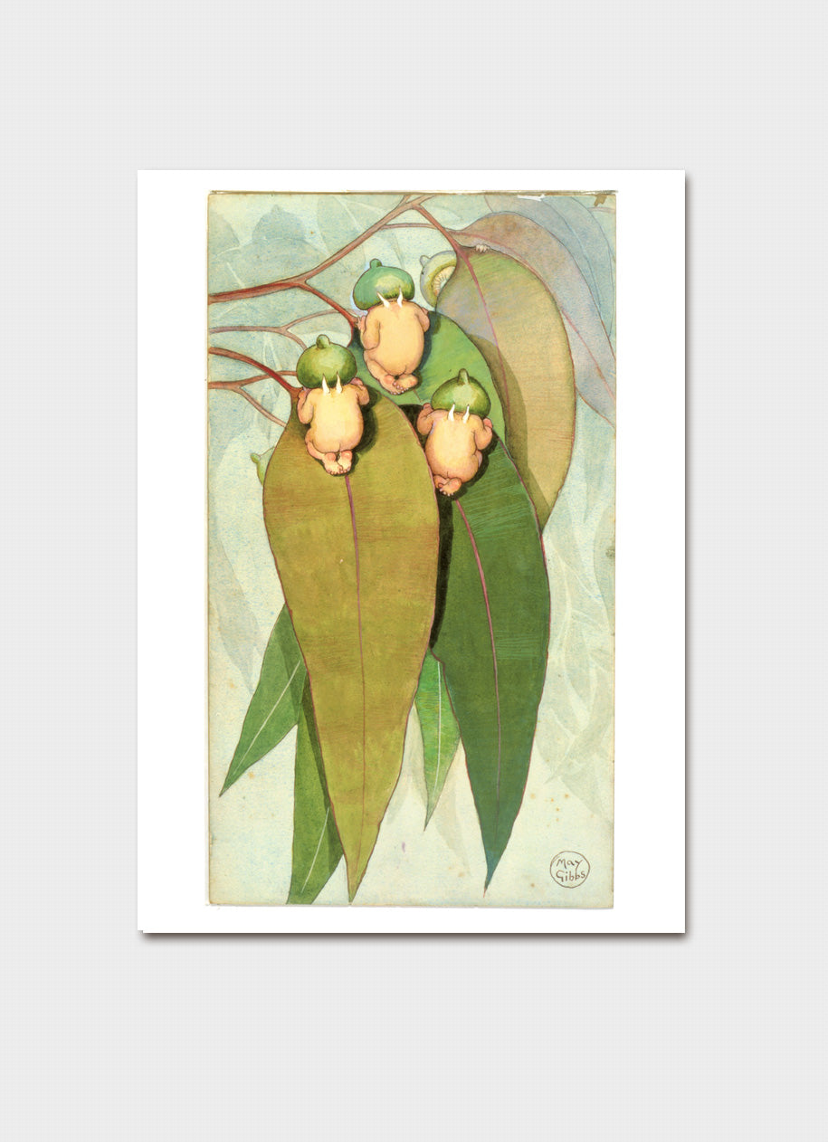 May Gibbs Gumnuts Card Pack 1