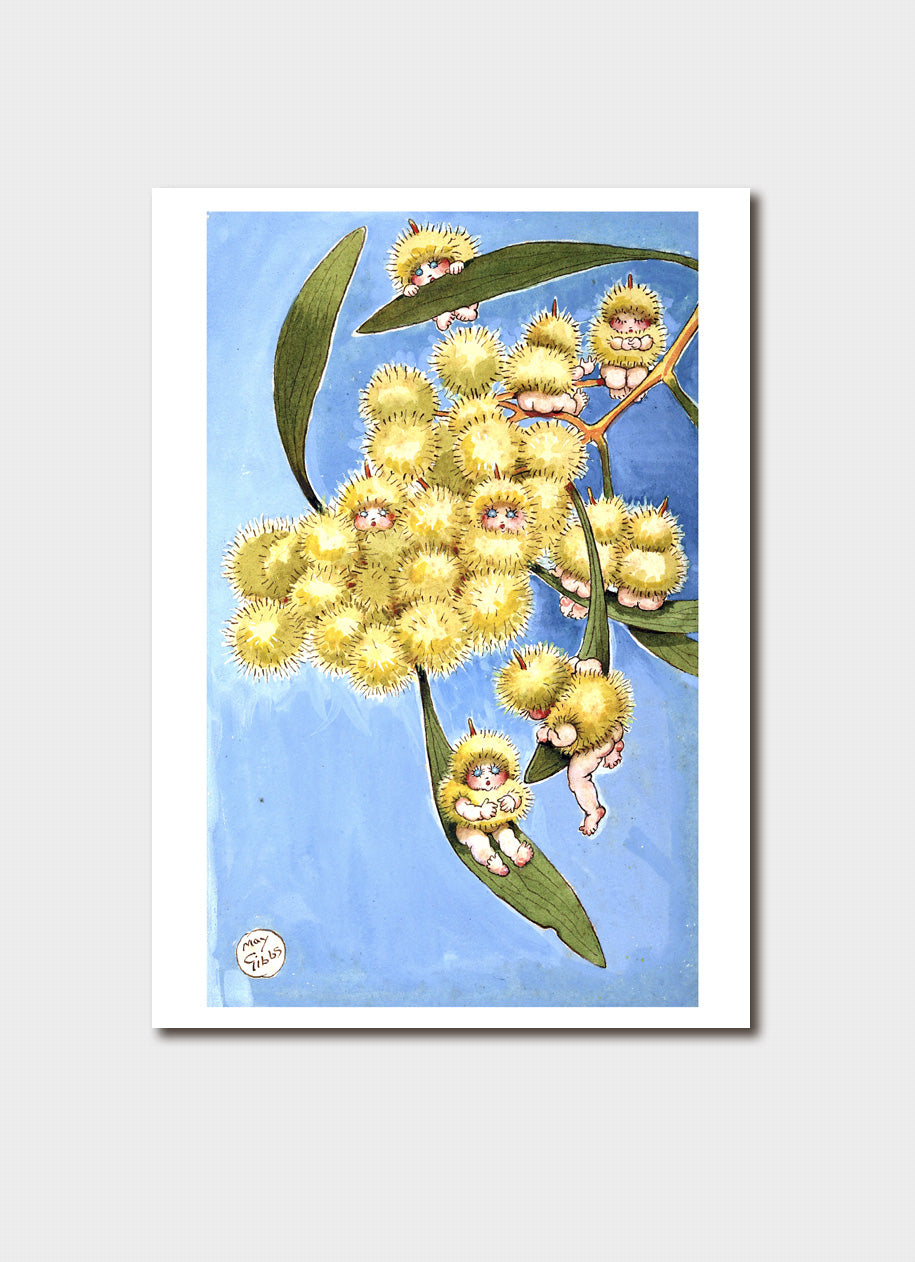 May Gibbs Gumnuts Card Pack 1