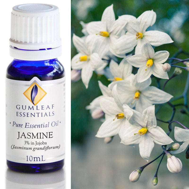 Essential Oil Jasmine 3% in Jojoba Oil